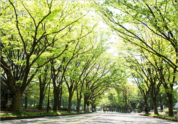 UNDER TREE